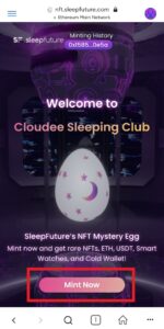 sleepfuture-sleep-to-earn